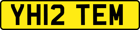 YH12TEM