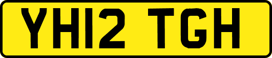 YH12TGH