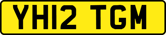 YH12TGM