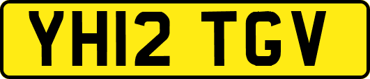 YH12TGV