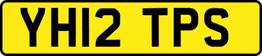 YH12TPS