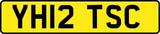 YH12TSC
