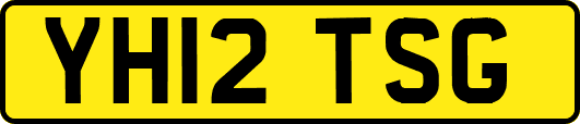 YH12TSG