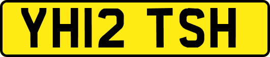 YH12TSH
