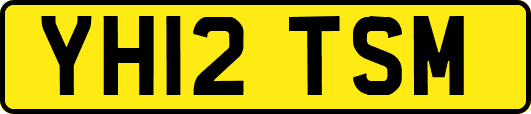 YH12TSM