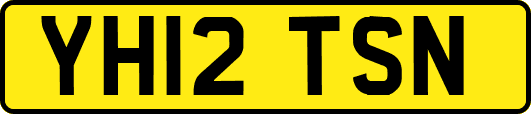 YH12TSN