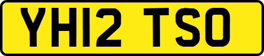 YH12TSO