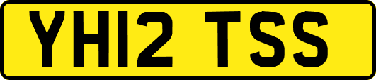 YH12TSS