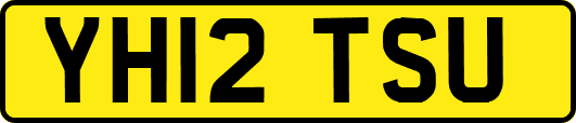 YH12TSU