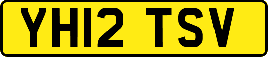 YH12TSV