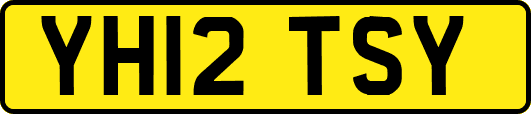 YH12TSY