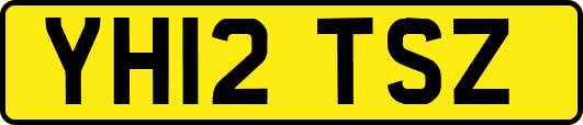 YH12TSZ