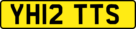 YH12TTS