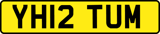 YH12TUM