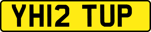 YH12TUP