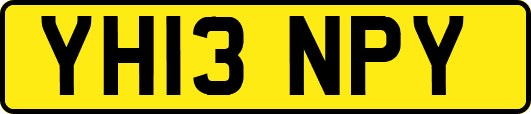 YH13NPY