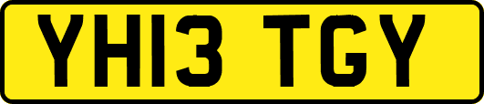 YH13TGY