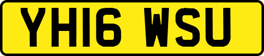 YH16WSU