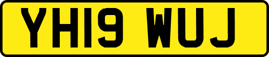 YH19WUJ