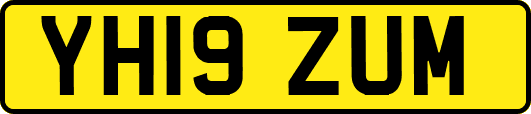 YH19ZUM