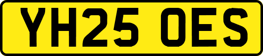 YH25OES