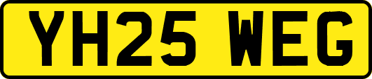 YH25WEG