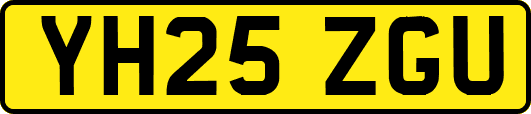 YH25ZGU