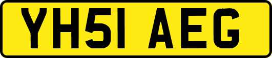 YH51AEG