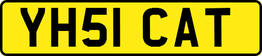 YH51CAT