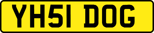 YH51DOG