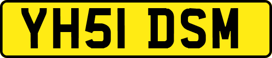 YH51DSM