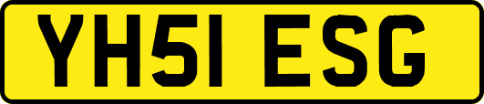 YH51ESG