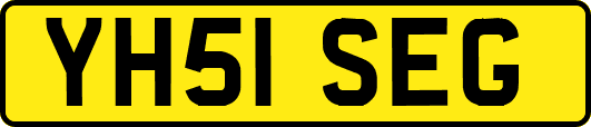 YH51SEG