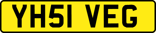 YH51VEG