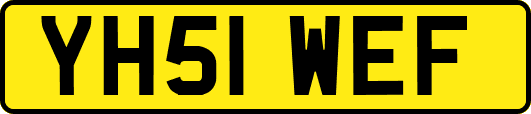 YH51WEF