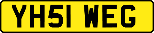 YH51WEG