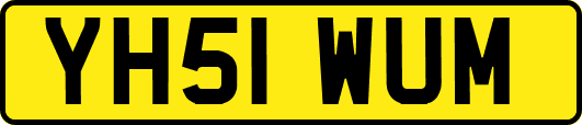 YH51WUM