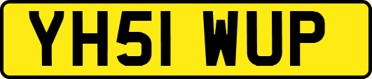 YH51WUP