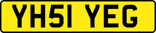 YH51YEG
