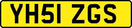 YH51ZGS
