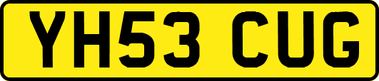 YH53CUG