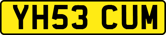 YH53CUM