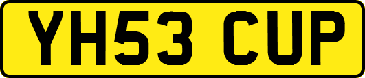 YH53CUP