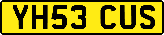 YH53CUS