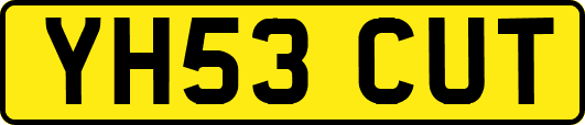 YH53CUT