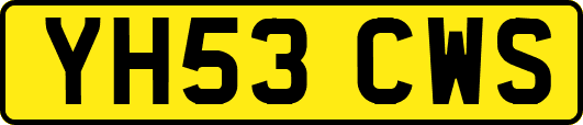 YH53CWS