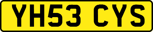 YH53CYS