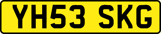 YH53SKG