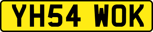 YH54WOK