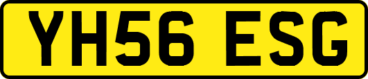 YH56ESG